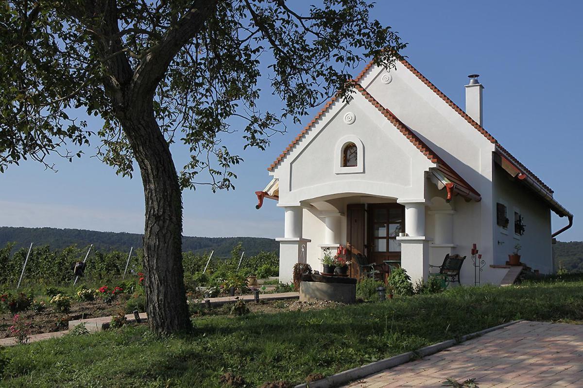 Casa Beata Vila Lesencetomaj Exterior foto