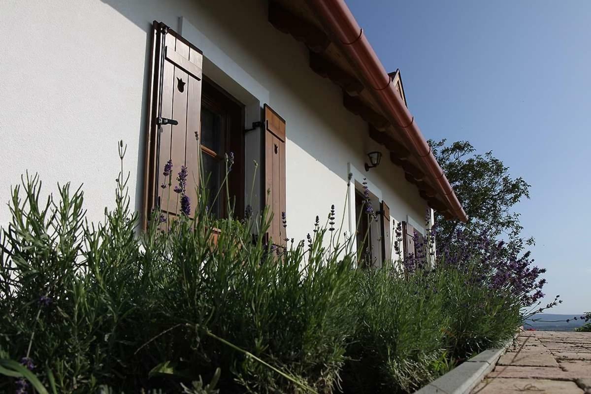 Casa Beata Vila Lesencetomaj Exterior foto
